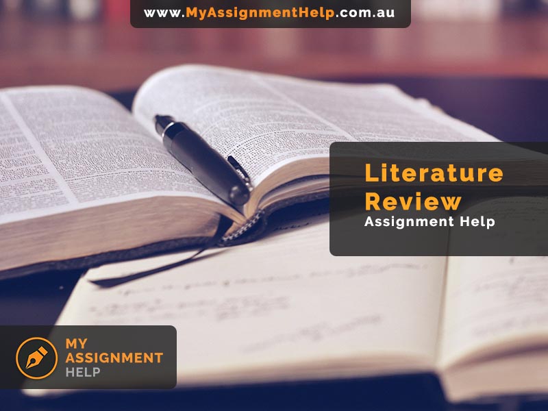 literature review assignment help
