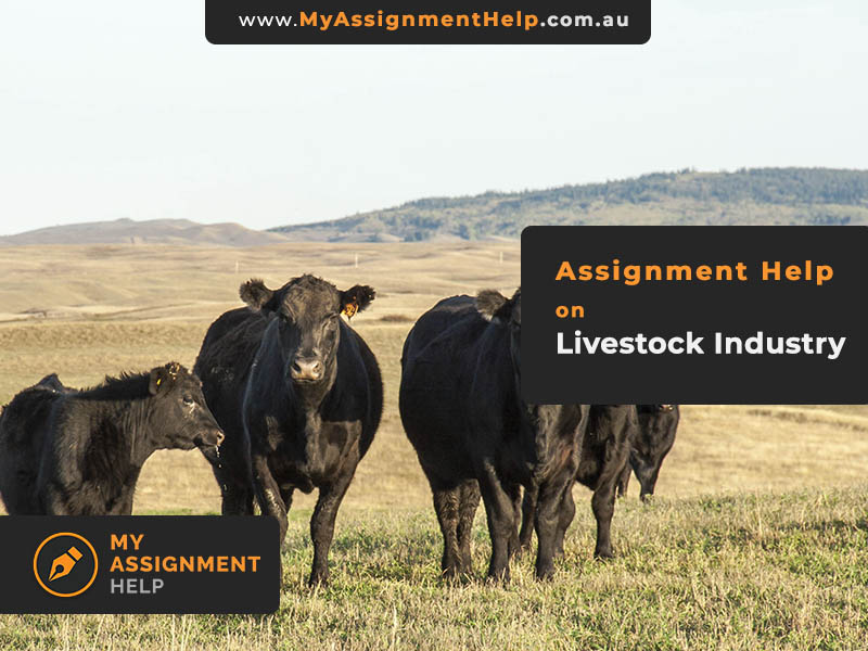 assignment on livestock farming