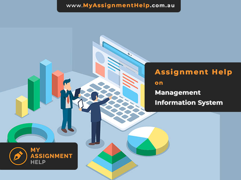 assignment on management information system