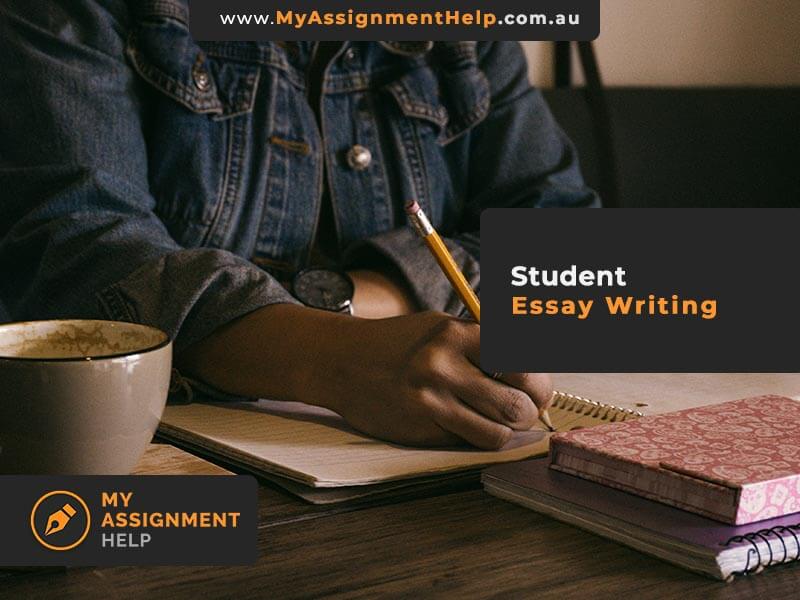 the student essay writing