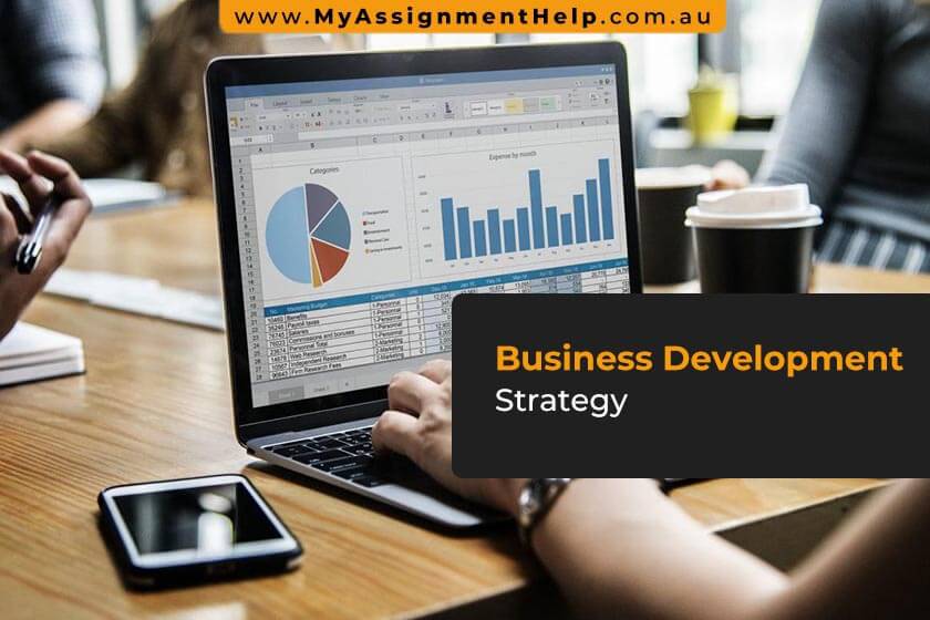 Business Development Strategy